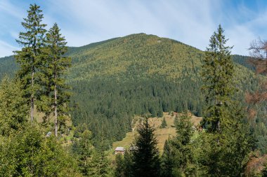 Güneşli bir günde tepelerde, dağlarda, yeşil ormanlarda ve küçük bir köydeki evlerde hava manzarası