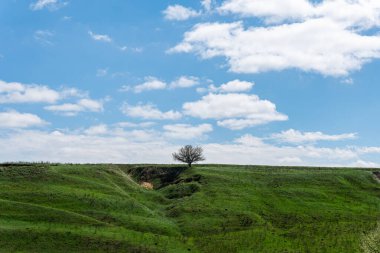 Tepesinde ağaç olan güzel yeşil bir tepe. Açık hava, ilkbahar ya da yaz aylarında güneşli bir gün. Beyaz bulutlu mavi gökyüzü. 