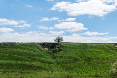 Tepesinde ağaç olan güzel yeşil bir tepe. Açık hava, ilkbahar ya da yaz aylarında güneşli bir gün. Beyaz bulutlu mavi gökyüzü. 