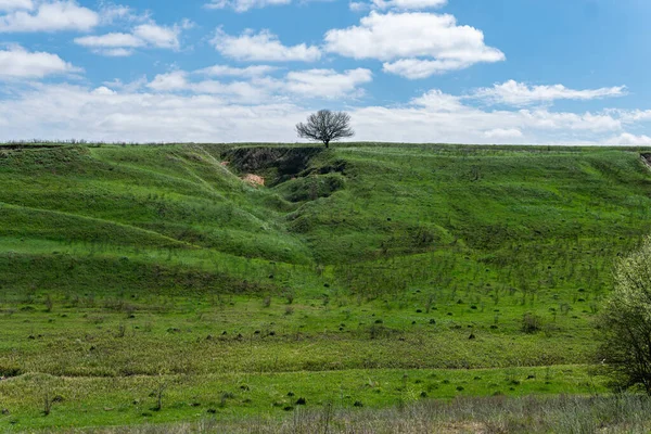 Tepesinde ağaç olan güzel yeşil bir tepe. Açık hava, ilkbahar ya da yaz aylarında güneşli bir gün. Beyaz bulutlu mavi gökyüzü. 