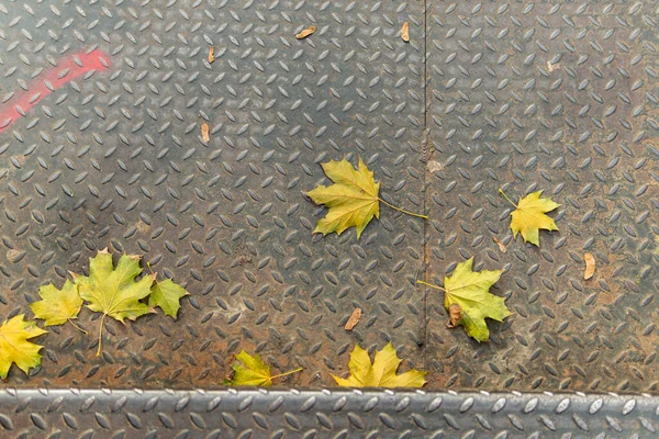 Viel Buntes Laub Auf Einer Metalltreppe Schritte Herbst — Stockfoto