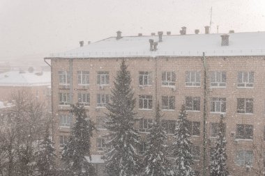 Şehirde karlı bir hava var. Bir ofisin Noel ağacı ve çatısı ve karla kaplı konutlar.