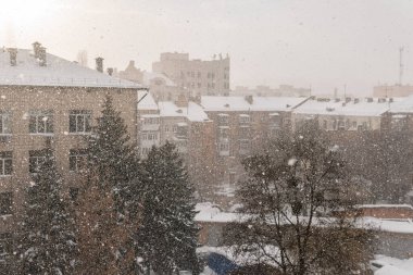 Şehirde karlı bir hava var. Bir ofisin Noel ağacı ve çatısı ve karla kaplı konutlar.