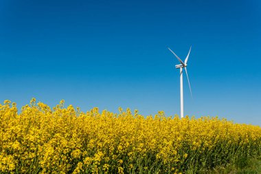 İsveç, Kristianstad 17 Mayıs 2022: Sıcak, güneşli bir yaz gününde büyük, güzel bir sarı tecavüz çiçeği tarlası ve mavi gökyüzü. Dev rüzgar türbinleri, elektrik enerji jeneratörleri..