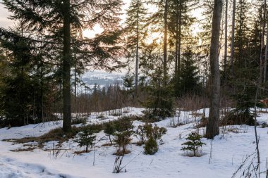 Ormanlı, kayalı, devasa karlı dağlar. Panorama en üstte, hava manzaralı. Dağlarda ıssız bir ev..