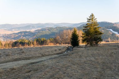 Ormanlı, kayalı, devasa karlı dağlar. Panorama en üstte, hava manzaralı. Dağlarda ıssız bir ev..