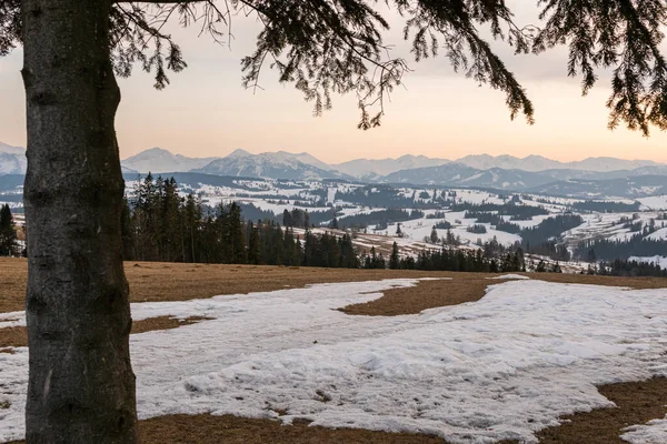 Enormi Montagne Innevate Con Foresta Rocce Panorama Alto Vista Aerea — Foto Stock