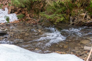 Biraz soğuk ve karlı bir dere, ormandaki vahşi doğada dere, açık havada