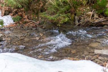 Biraz soğuk ve karlı bir dere, ormandaki vahşi doğada dere, açık havada