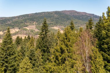 Polonya 'daki gözlem güvertesinden dağlara, ormana, köye inanılmaz bir panoramik manzara, Rabka-Zdroj