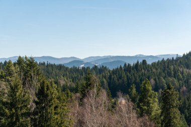 Polonya 'daki gözlem güvertesinden dağlara, ormana, köye inanılmaz bir panoramik manzara, Rabka-Zdroj