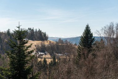 Polonya 'daki gözlem güvertesinden dağlara, ormana, köye inanılmaz bir panoramik manzara, Rabka-Zdroj