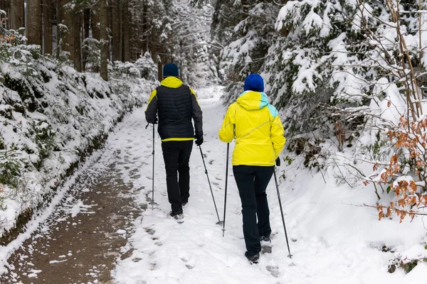 A couple is practicing Nordic walking in the forest in winter, snowy weather, sport activity