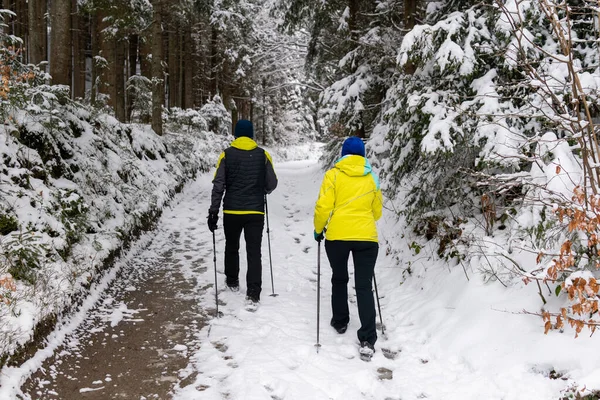 A couple is practicing Nordic walking in the forest in winter, snowy weather, sport activity