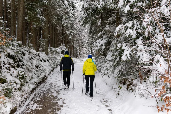 A couple is practicing Nordic walking in the forest in winter, snowy weather, sport activity
