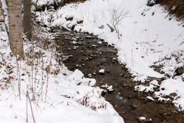 Beautiful snowy forest, trees and leaves covered with snow, wild nature, little stream, river