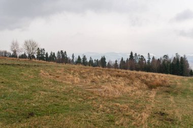 A beautiful panoramic landscape of mountains in grey rainy weather in Europe. Wooden summer house, cottage, beautiful nature. Breathtaking view. 