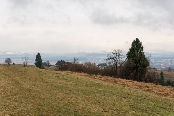 Beautiful Panoramic Landscape Mountains Grey Rainy Weather Europe Wooden Summer — Photo