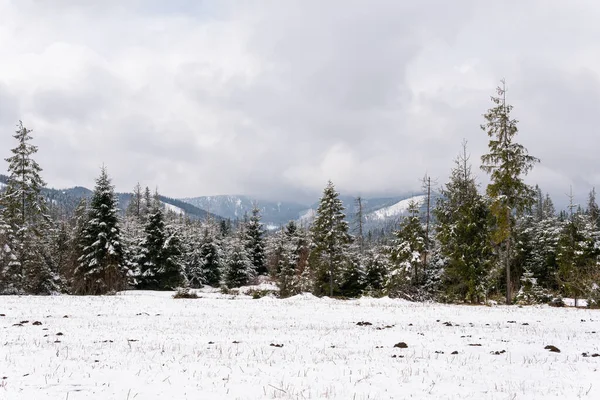 Breathtaking view on snowy mountains, Christmas trees. Beautiful snowy landscape.