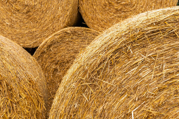 Много стогов сена, блоков сена, тюков, стога сена, прямоугольных тюков на поле
