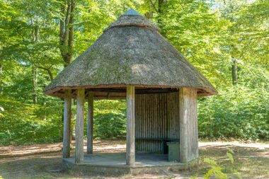 Eski bir pavyon, çardak, ormandaki çardak.