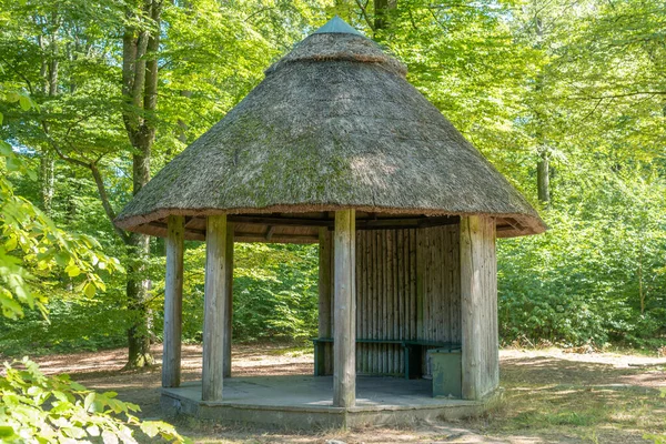 Eski bir pavyon, çardak, ormandaki çardak.