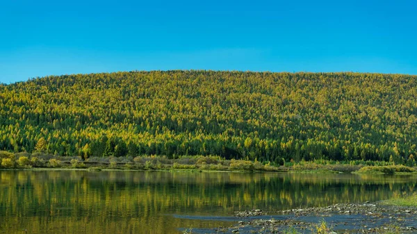 Heuvelachtige Oever Van Taiga Rivier Herfstbos Aan Oever Van Siberische — Stockfoto