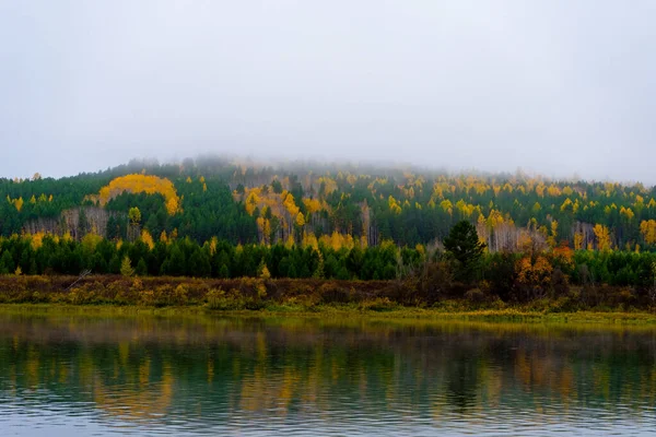A táj az őszi folyóparton dombokkal borított sűrű erdő zöld és sárga levelek. Köd a Tajiga folyón Szibériában. Lena folyó. Reggeli köd a folyó felett — Stock Fotó