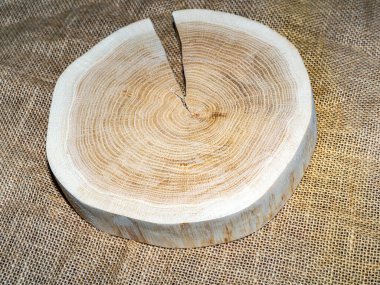 Tahta kütük, çapraz kesim, ağaç gövdesi kesimi. Çuval bezi arka planında tahta servis tepsisi.