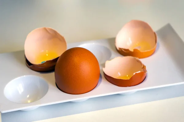 Ціле куряче яйце серед шкаралупи. Ціле куряче яйце серед мушлі — стокове фото