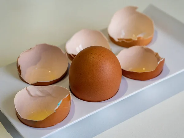 Целое куриное яйцо среди раковин — стоковое фото