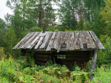 Taiga 'da terk edilmiş eski bir ahşap ev. Sibirya 'da bir av kulübesi