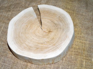 Tahta kütük, çapraz kesim, ağaç gövdesi kesimi..