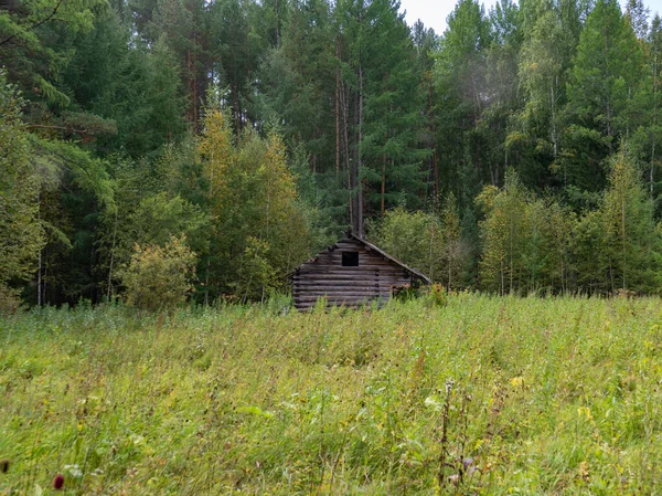 Velho abandonado nascido à beira da floresta no verão. Cabana de madeira na floresta. Casa dos Caçadores — Fotografia de Stock