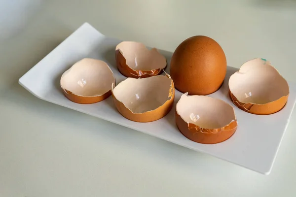 Целое Куриное Яйцо Среди Раковин — стоковое фото