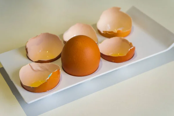 Ціле куряче яйце серед мушлі. упередження виживання — стокове фото