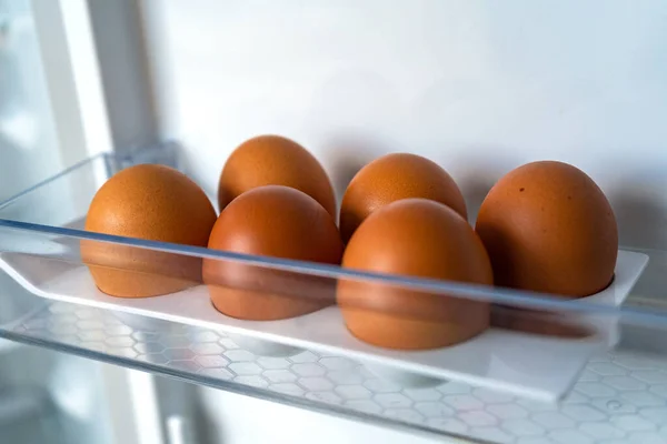 Коричневі Курячі Яйця Холодильнику Курячих Яєць Дверях Холодильника — стокове фото