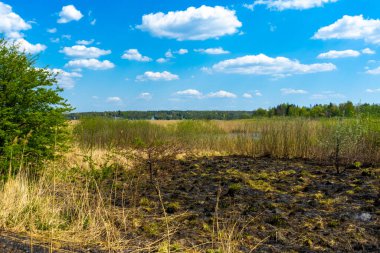 Alan kenarı yangından zarar gördü. Yangından sonra çayır