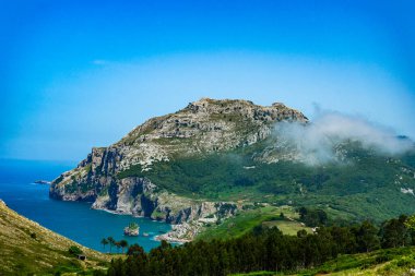 Okyanusun üzerinde ormanla kaplı bir kaya yükseliyor.