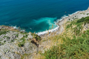 Okyanusun üzerinde yeşilliklerle kaplı bir kaya yükseliyor..