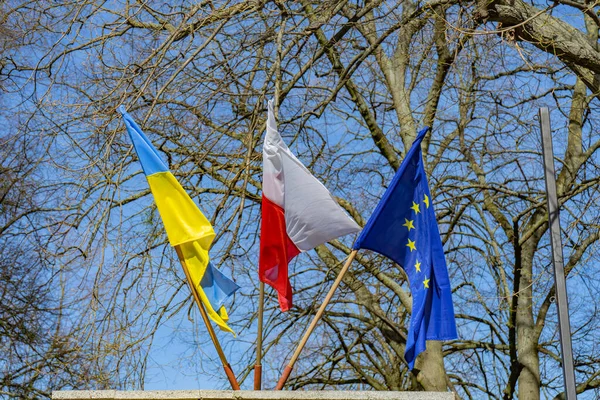Flags of Ukraine, Poland, the European Union against the blue sky and tree branches.