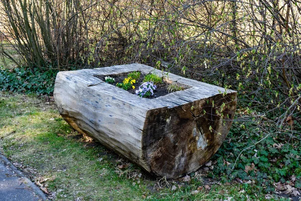 Garden Flower Bed Old Wooden Log — Φωτογραφία Αρχείου