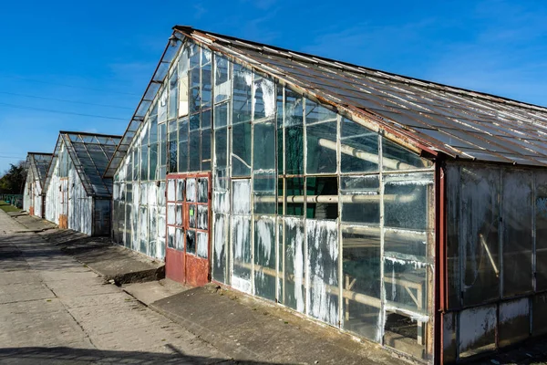 Abandoned Greenhouse Ruined Abandoned Greenhouse Complex — Stock Photo, Image