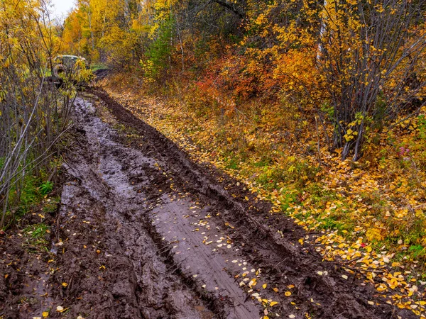 Forest Muddy Dirt Road Broken Heavy Cars — 图库照片