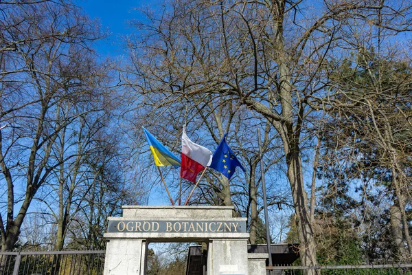 Flags of Ukraine, Poland, the European Union against the blue sky and tree branches at the entrance to the Botanical Garden of Poznan