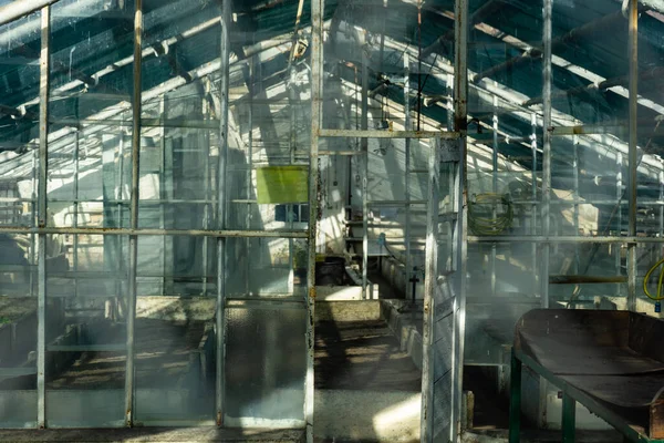 Old Dilapidated Greenhouses Ruined Abandoned Greenhouse Complex — ストック写真
