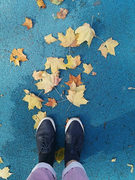 Fundo de outono com folhas caídas folhas caídas de uma árvore e botas — Fotografia de Stock