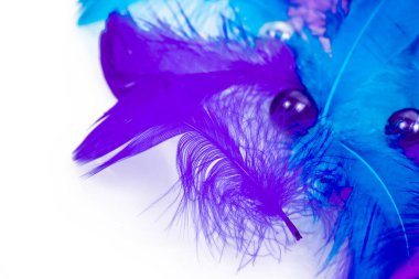 Tüylü arka plan - küçük tüylü mavi tüyler rastgele beyaz masaya saçılmış