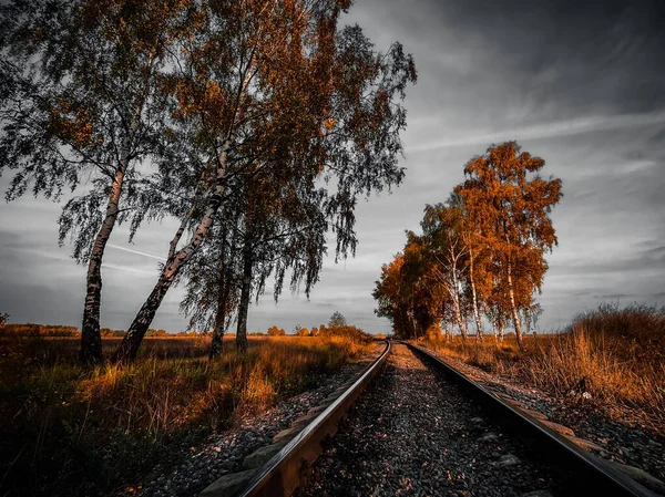 Järnvägsspår Mitt Skog Och Mark Med Träd Hösten Europa — Stockfoto