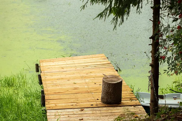 森の湖の上の木造船ドックと藻類からの水緑 — ストック写真